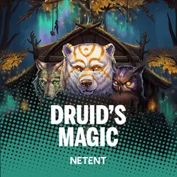 Druid's Magic
