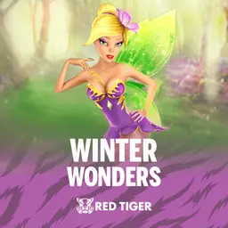 Winter Wonders