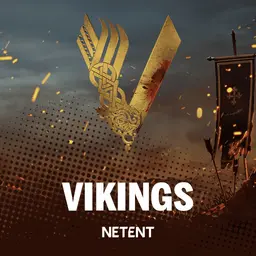 Vikings Video Slot