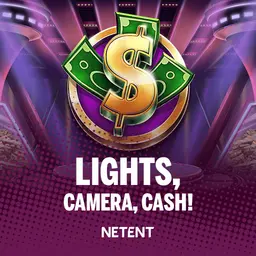 Lights, Camera, Cash!