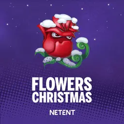 Flowers Christmas Edition